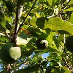Вилла Giardino Tropicale Eco-friendly Private Pools