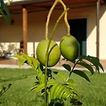 Вилла Giardino Tropicale Eco-friendly Private Pools Lido di Noto
