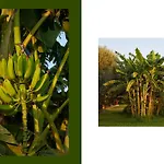Вилла Giardino Tropicale Eco-friendly Private Pools Lido di Noto