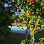 Вилла Giardino Tropicale Eco-friendly Private Pools Lido di Noto