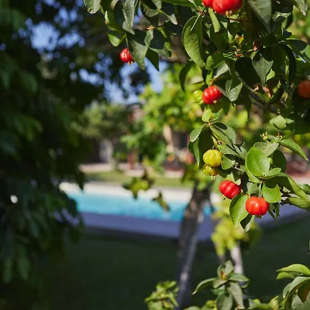 Willa Giardino Tropicale Eco-friendly Private Pools Lido di Noto