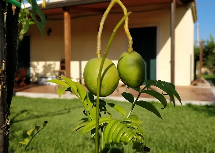 Вилла Giardino Tropicale Eco-friendly Private Pools Lido di Noto