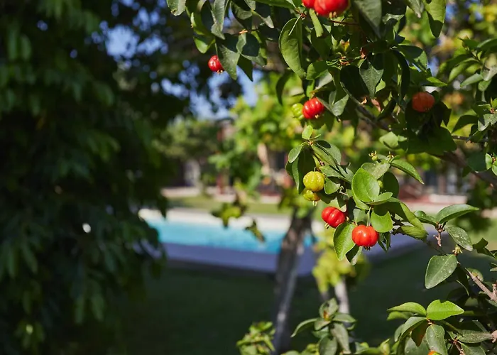 Вилла Giardino Tropicale Eco-friendly Private Pools Lido di Noto